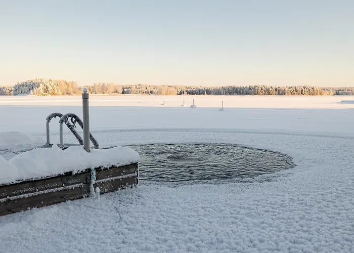 雷蒙卡基度假酒店 别墅 Asikkala (Southern Finland)