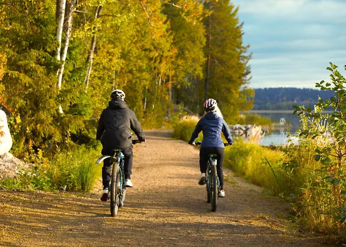 雷蒙卡基度假酒店 * Asikkala (Southern Finland)